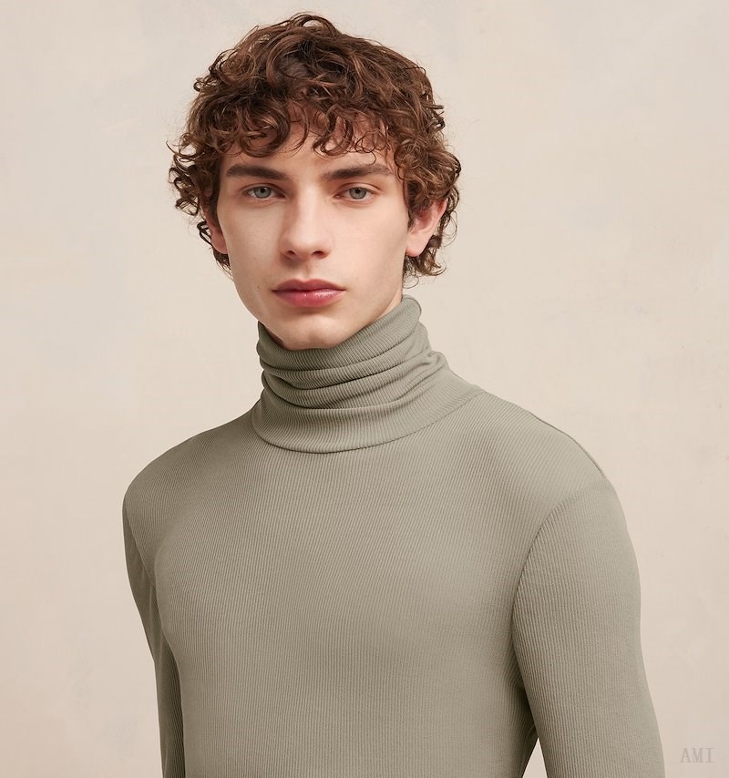 Ami Paris Turtleneck T-shirt Clay | WUDA2609